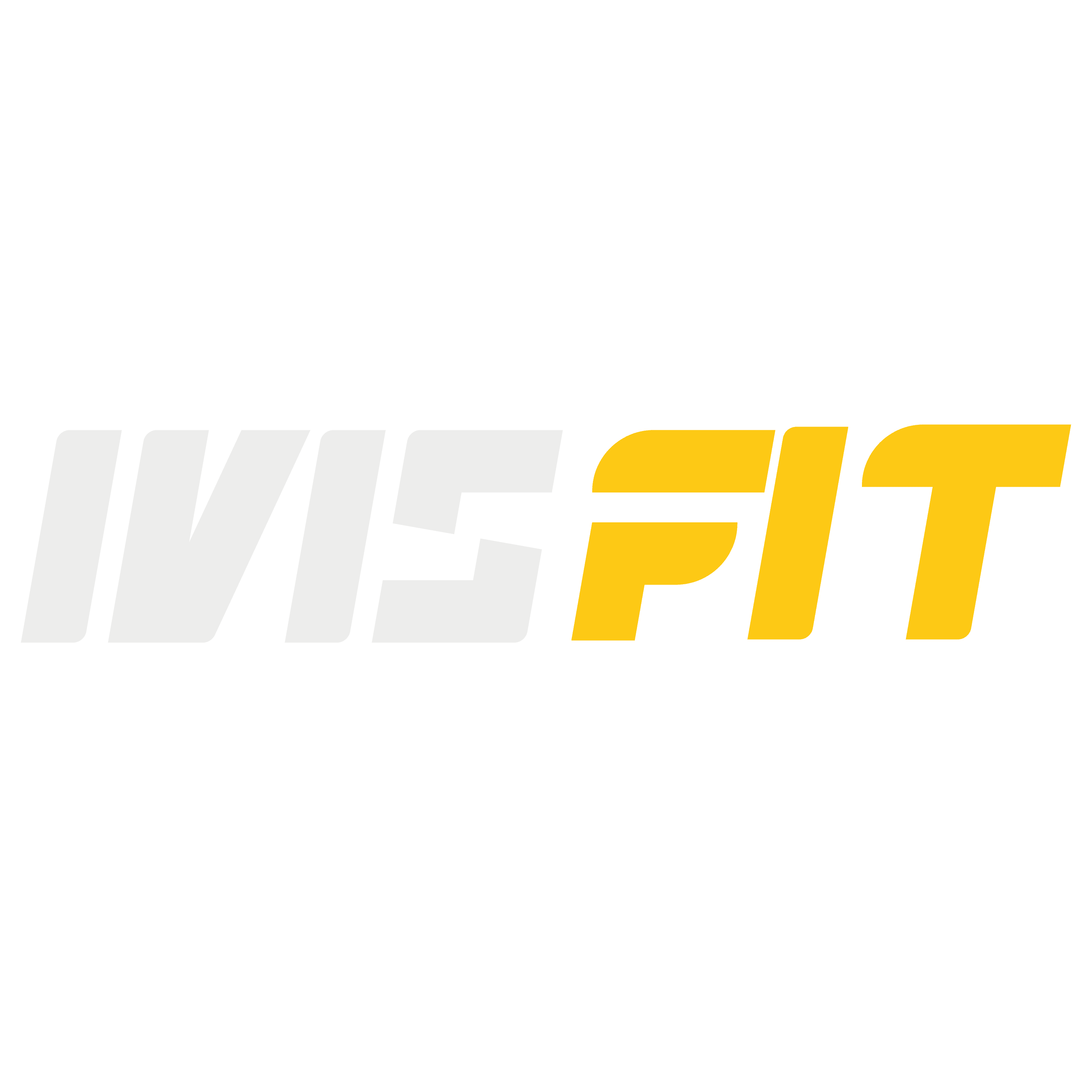 IVIIS FIT — inicio